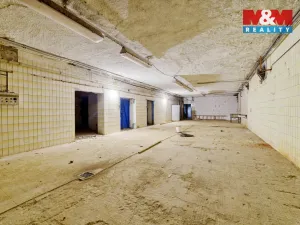 Prodej výrobních prostor, Mariánské Lázně - Úšovice, U Mlékárny, 1870 m2