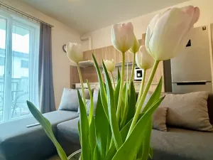 Pronájem bytu 1+kk, Lanškroun - Žichlínské Předměstí, Palackého, 37 m2