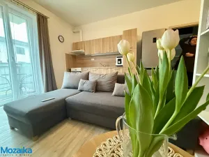 Pronájem bytu 1+kk, Lanškroun - Žichlínské Předměstí, Palackého, 37 m2