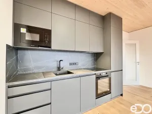 Pronájem bytu 1+kk, Praha, Ujgurská, 41 m2