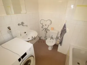 Prodej bytu 1+1, České Budějovice - České Budějovice 4, Rudolfovská tř., 46 m2