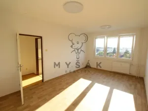 Prodej bytu 1+1, České Budějovice - České Budějovice 4, Rudolfovská tř., 46 m2