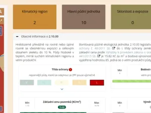 Prodej pole, Přišimasy, 7366 m2