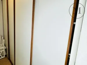 Pronájem bytu 1+1, České Budějovice, Riegrova, 55 m2