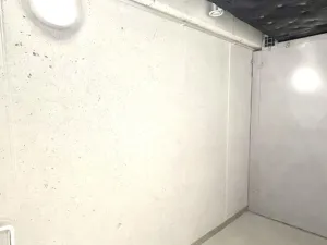 Pronájem bytu 2+kk, Brandýs nad Labem-Stará Boleslav - Brandýs nad Labem, Dřevčická, 52 m2