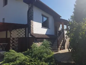 Prodej rodinného domu, Horní Bludovice, 330 m2