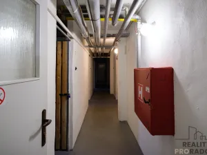 Pronájem bytu 1+1, Olomouc - Nová Ulice, I. P. Pavlova, 31 m2