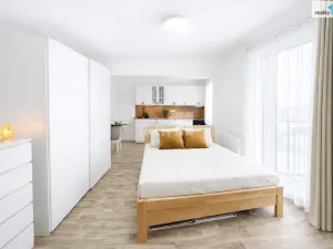 Prodej bytu 1+kk, Nehvizdy, Vestecká, 38 m2