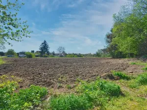 Prodej pozemku pro bydlení, Žáky, 1081 m2