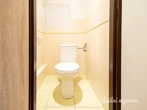 Pronájem bytu 2+kk, Praha - Chodov, Vejvanovského, 42 m2