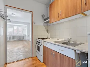 Pronájem bytu 1+1, Brno, Havlišova, 35 m2