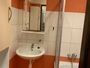 Prodej bytu 2+kk, Opatovice nad Labem, Smetanova, 55 m2