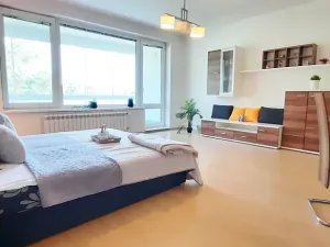 Pronájem bytu 1+kk, Brno, Šemberova, 48 m2