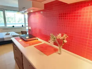 Pronájem bytu 1+kk, Brno, Šemberova, 48 m2