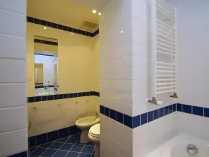 Pronájem bytu 2+1, Praha - Vinohrady, Anny Letenské, 54 m2