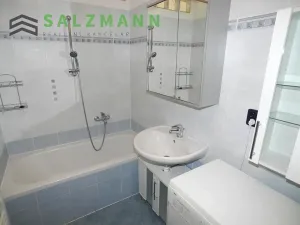 Pronájem bytu 2+1, Plzeň, Malesická, 50 m2