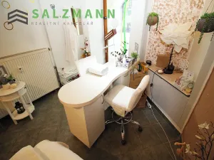 Pronájem obchodního prostoru, Plzeň, Bezručova, 15 m2