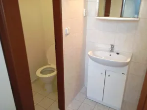 Pronájem bytu 1+kk, Ostopovice, Družstevní, 32 m2
