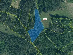 Dražba lesa, Hradiště, 6519 m2