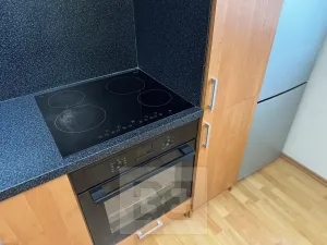 Pronájem bytu 1+1, Brno, Teyschlova, 41 m2