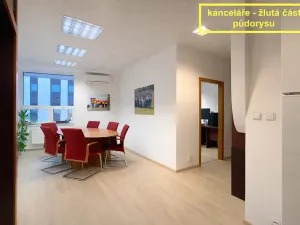Pronájem kanceláře, Brno, Příkop, 226 m2