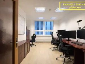 Pronájem kanceláře, Brno, Příkop, 226 m2
