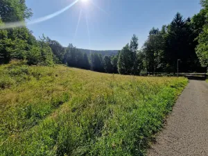 Prodej pozemku pro bydlení, Dolní Dvůr, 2600 m2