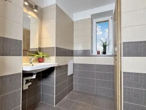 Pronájem bytu 2+1, Zastávka, Havířská, 56 m2