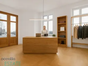 Prodej atypického bytu, Plzeň, Křížkova, 228 m2