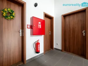 Pronájem bytu 3+kk, Luby, Revoluční, 58 m2