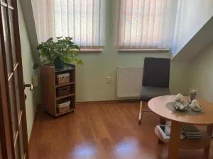 Pronájem komerční nemovitosti, Kyjov, Dobrovského, 45 m2