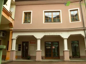 Pronájem komerční nemovitosti, Kyjov, Dobrovského, 45 m2