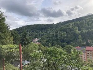 Prodej rodinného domu, Jáchymov, Prokopova, 120 m2