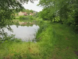 Prodej pozemku, Čížová, 2006 m2