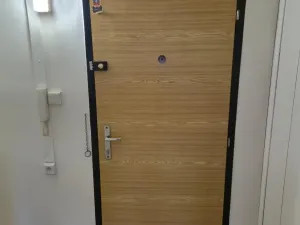 Pronájem bytu 2+kk, Ostrava - Hrabůvka, Plzeňská, 48 m2