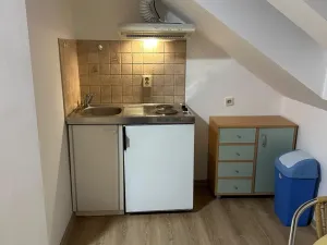 Pronájem bytu 1+kk, Brno, Palackého třída, 28 m2