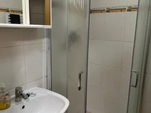 Pronájem bytu 1+kk, Brno, Palackého třída, 28 m2