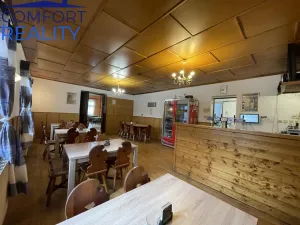 Prodej ubytování, Frýdlant nad Ostravicí - Nová Ves, 400 m2