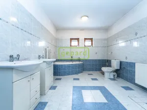 Prodej rodinného domu, Doksy - Staré Splavy, Dalibora z Myšlína, 310 m2