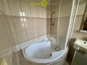 Prodej rodinného domu, Hlučín, Vladislava Vančury, 215 m2