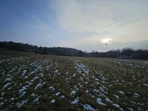 Prodej zahrady, Mikulov, Nová, 2627 m2