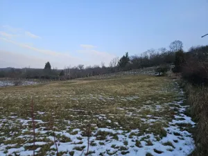 Prodej zahrady, Mikulov, Nová, 2627 m2