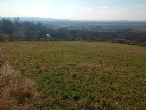 Prodej zahrady, Mikulov, Nová, 2627 m2