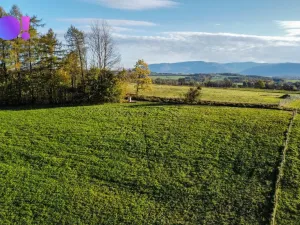 Prodej pozemku pro bydlení, Těrlicko, 4357 m2