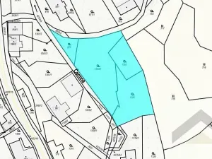 Prodej pozemku pro bydlení, Horní Čermná, 3443 m2