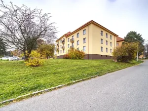 Prodej bytu 2+1, Příbram, Okružní, 56 m2