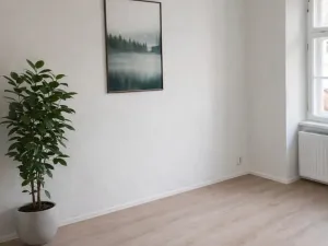 Pronájem bytu 1+kk, Olomouc, Zámečnická, 32 m2