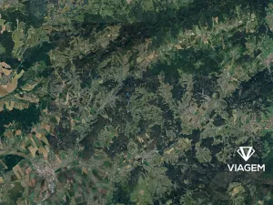 Prodej podílu lesa, Luhačovice, 8222 m2