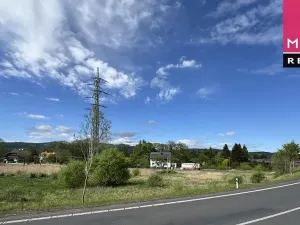 Prodej louky, Ostrov, Jáchymovská, 8734 m2