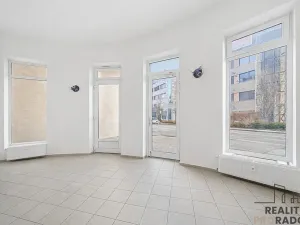 Prodej obchodního prostoru, Olomouc - Nová Ulice, Wellnerova, 65 m2